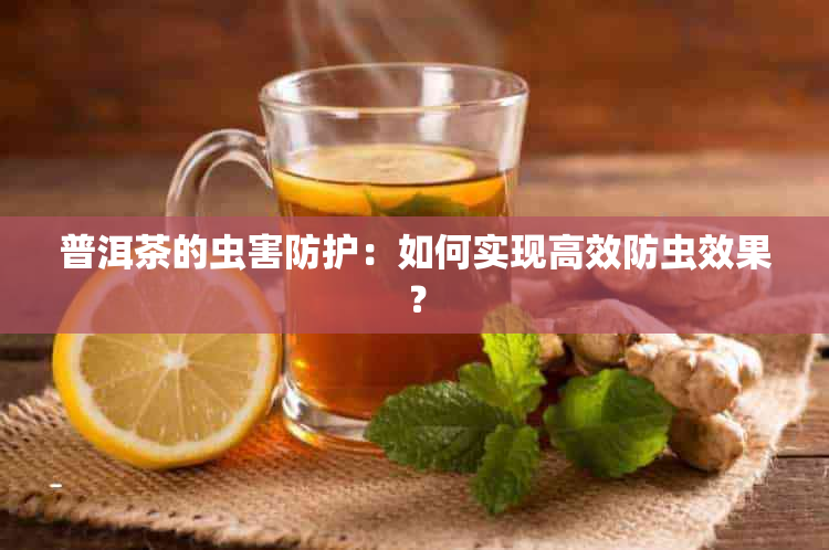 普洱茶的虫害防护：如何实现高效防虫效果？