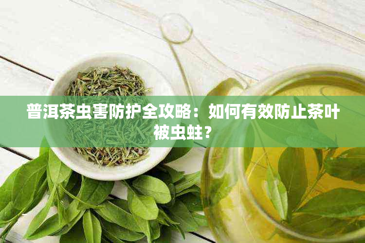 普洱茶虫害防护全攻略：如何有效防止茶叶被虫蛀？