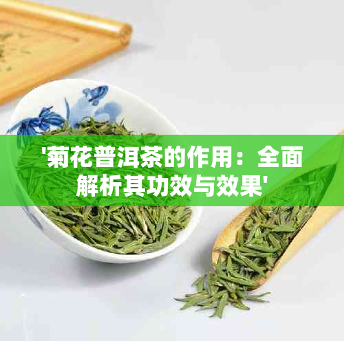 '菊花普洱茶的作用：全面解析其功效与效果'