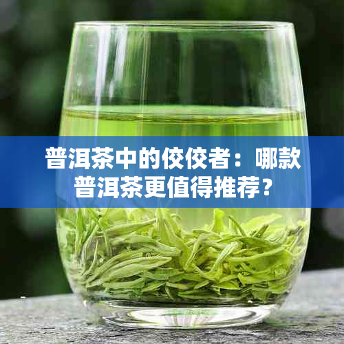 普洱茶中的佼佼者：哪款普洱茶更值得推荐？