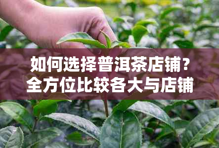 如何选择普洱茶店铺？全方位比较各大与店铺的优劣