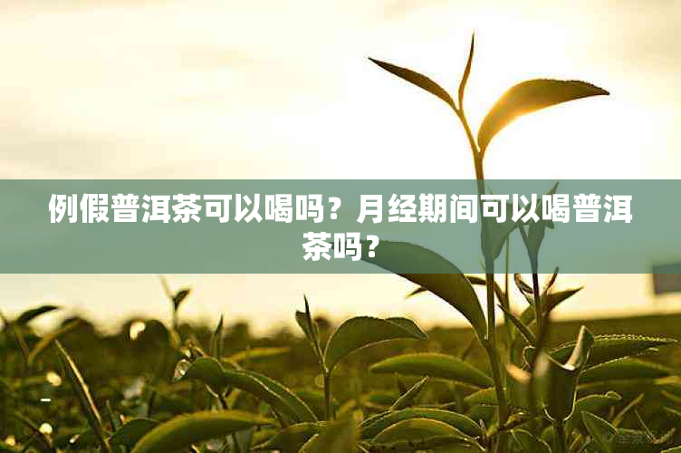 例假普洱茶可以喝吗？月经期间可以喝普洱茶吗？