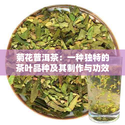 菊花普洱茶：一种独特的茶叶品种及其制作与功效解析