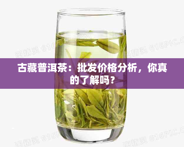 古藏普洱茶：批发价格分析，你真的了解吗？