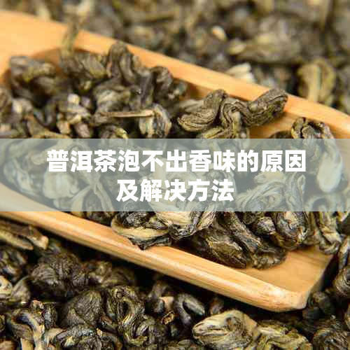 普洱茶泡不出香味的原因及解决方法