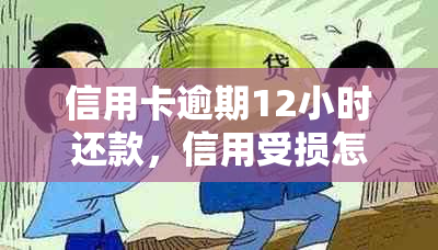 信用卡逾期12小时还款，信用受损怎么办？