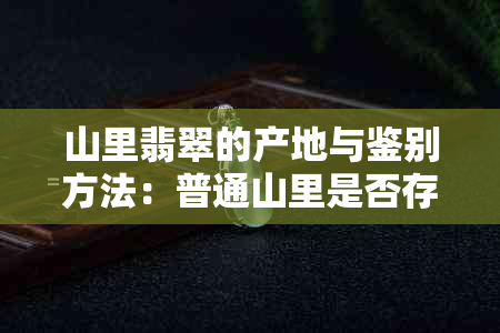 山里翡翠的产地与鉴别方法：普通山里是否存在翡翠？