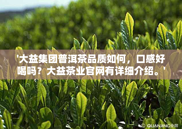 '大益集团普洱茶品质如何，口感好喝吗？大益茶业官网有详细介绍。'