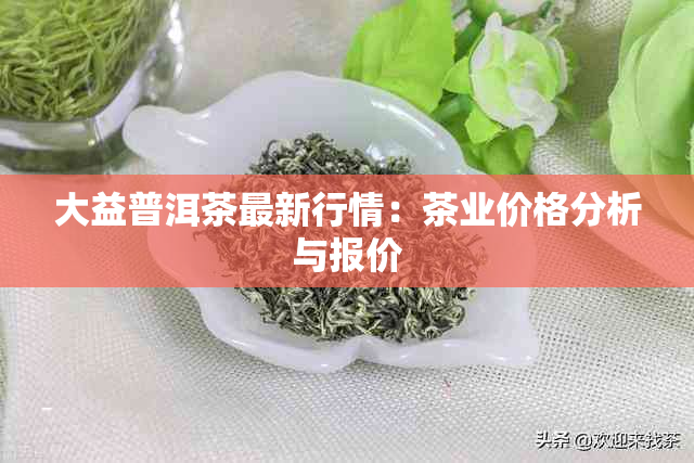 大益普洱茶最新行情：茶业价格分析与报价