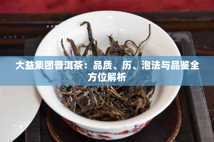 大益集团普洱茶：品质、历、泡法与品鉴全方位解析