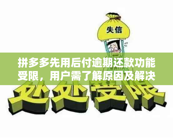 拼多多先用后付逾期还款功能受限，用户需了解原因及解决方法