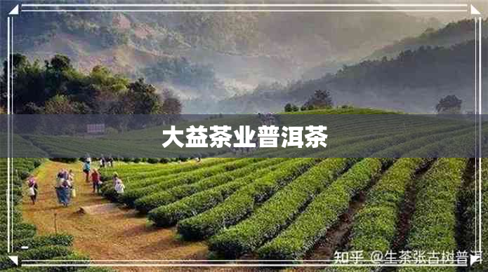 大益茶业普洱茶