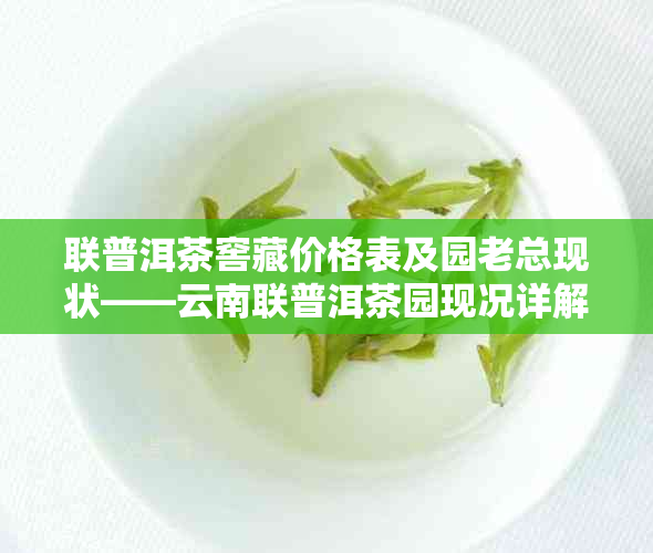 联普洱茶窖藏价格表及园老总现状——云南联普洱茶园现况详解