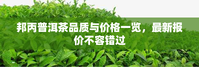 邦丙普洱茶品质与价格一览，最新报价不容错过