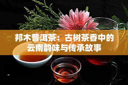 邦木普洱茶：古树茶香中的云南韵味与传承故事