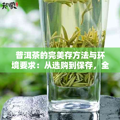 普洱茶的完美存方法与环境要求：从选购到保存，全面掌握普洱茶的品质保障