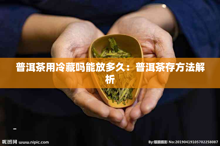 普洱茶用冷藏吗能放多久：普洱茶存方法解析