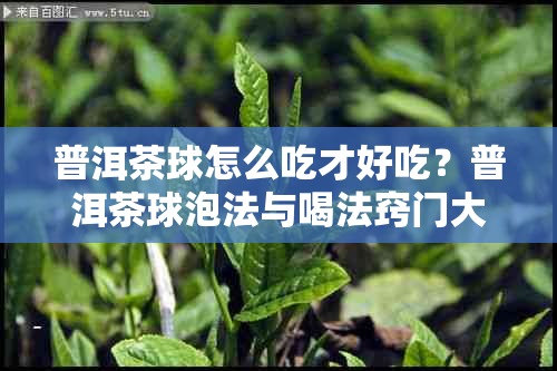 普洱茶球怎么吃才好吃？普洱茶球泡法与喝法窍门大公开！