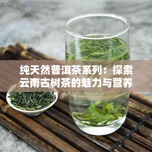 纯天然普洱茶系列：探索云南古树茶的魅力与营养