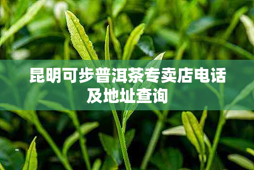 昆明可步普洱茶专卖店电话及地址查询