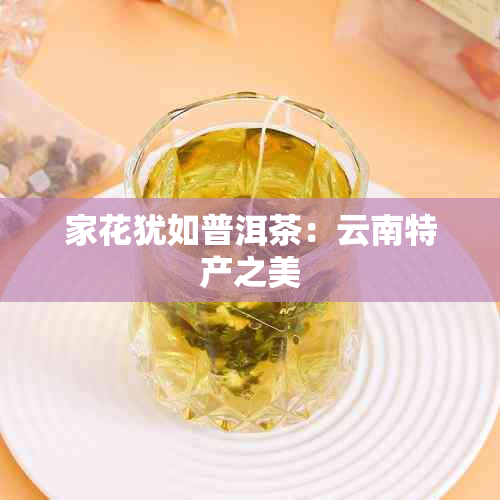 家花犹如普洱茶：云南特产之美