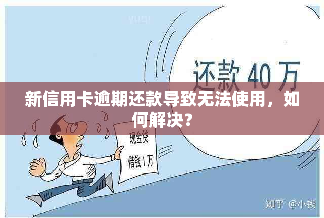 新信用卡逾期还款导致无法使用，如何解决？