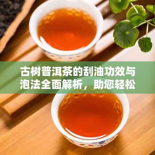 古树普洱茶的刮油功效与泡法全面解析，助您轻松掌握品饮体验