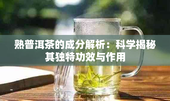 熟普洱茶的成分解析：科学揭秘其独特功效与作用