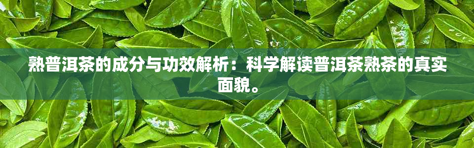 熟普洱茶的成分与功效解析：科学解读普洱茶熟茶的真实面貌。