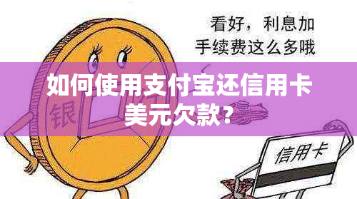 如何使用支付宝还信用卡美元欠款？