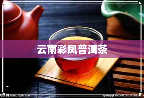 云南彩凤普洱茶