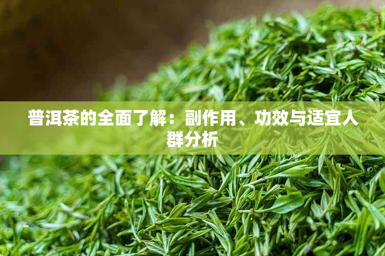 普洱茶的全面了解：副作用、功效与适宜人群分析