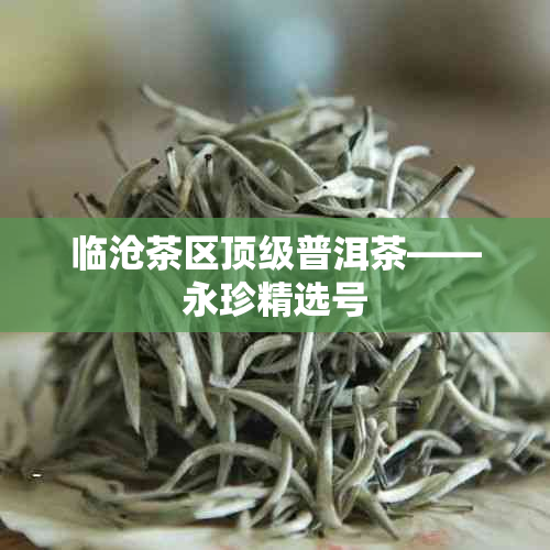 临沧茶区顶级普洱茶——永珍精选号