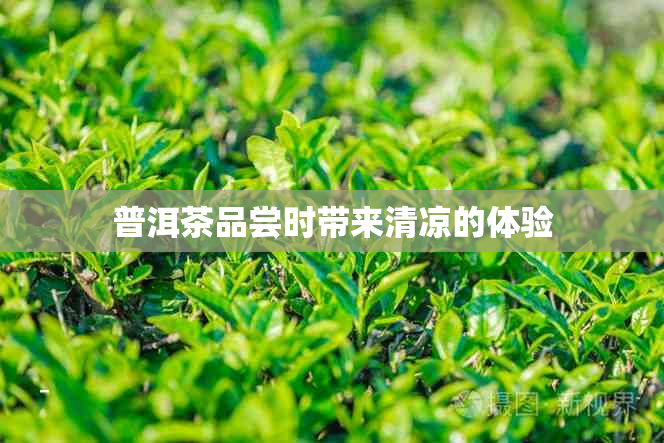 普洱茶品尝时带来清凉的体验