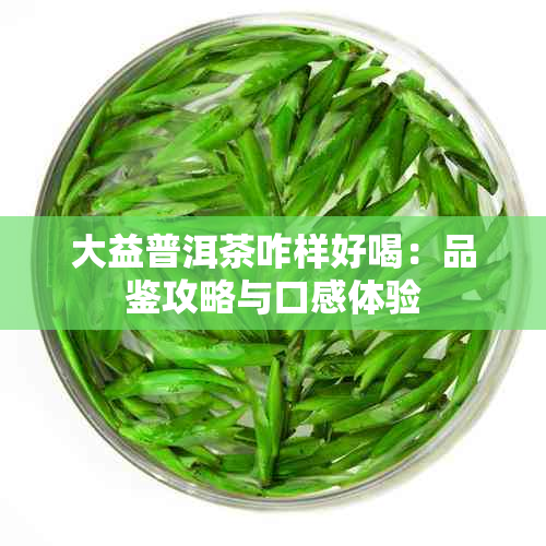 大益普洱茶咋样好喝：品鉴攻略与口感体验