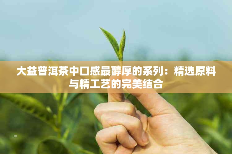 大益普洱茶中口感最醇厚的系列：精选原料与精工艺的完美结合