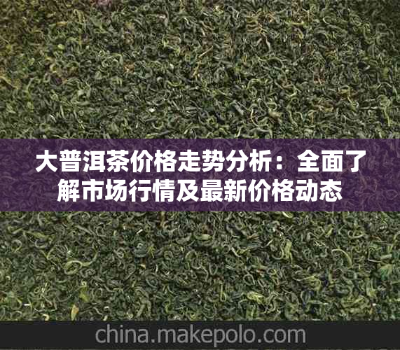 大普洱茶价格走势分析：全面了解市场行情及最新价格动态