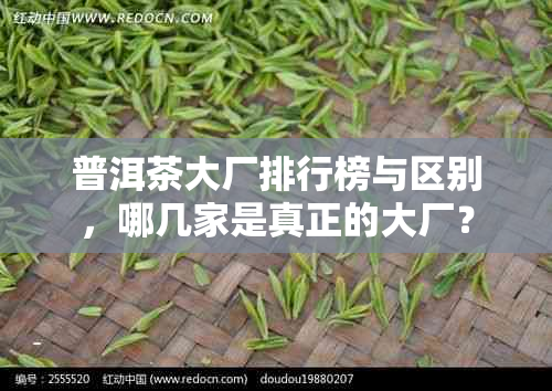 普洱茶大厂排行榜与区别，哪几家是真正的大厂？