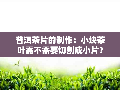 普洱茶片的制作：小块茶叶需不需要切割成小片？