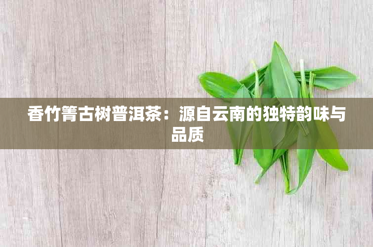 香竹箐古树普洱茶：源自云南的独特韵味与品质