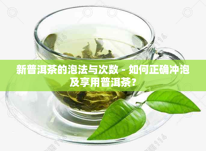 新普洱茶的泡法与次数 - 如何正确冲泡及享用普洱茶？