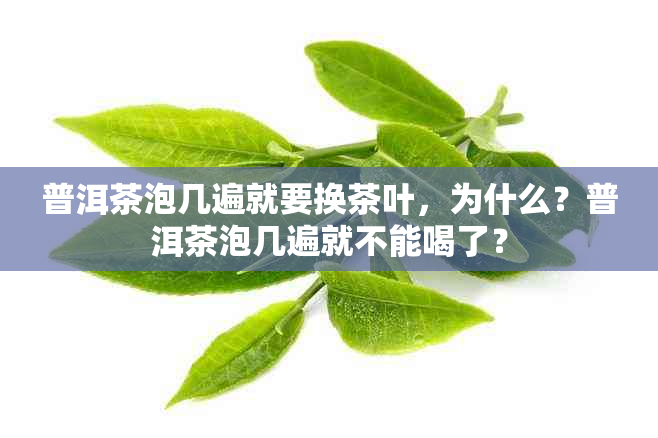 普洱茶泡几遍就要换茶叶，为什么？普洱茶泡几遍就不能喝了？