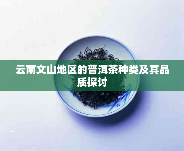 云南文山地区的普洱茶种类及其品质探讨