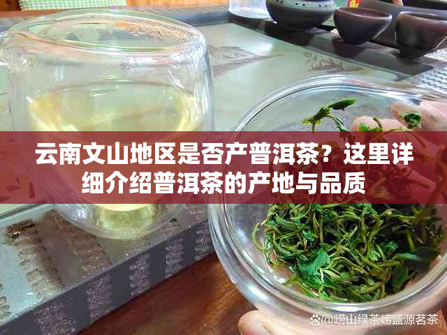 云南文山地区是否产普洱茶？这里详细介绍普洱茶的产地与品质