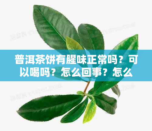 普洱茶饼有腥味正常吗？可以喝吗？怎么回事？怎么办？