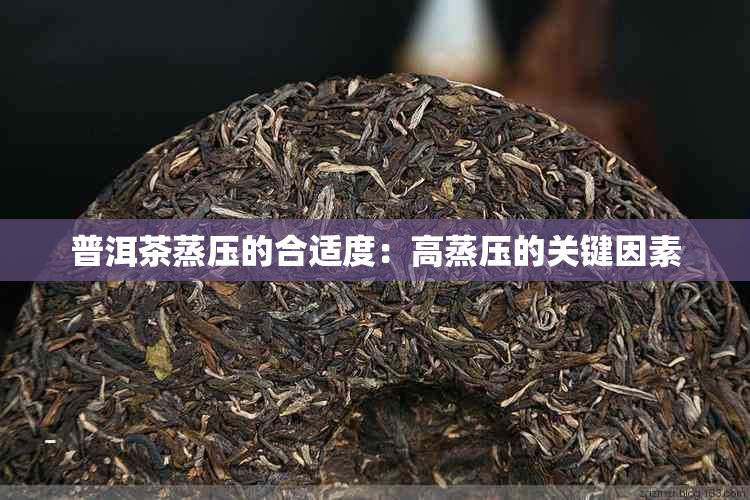 普洱茶蒸压的合适度：高蒸压的关键因素