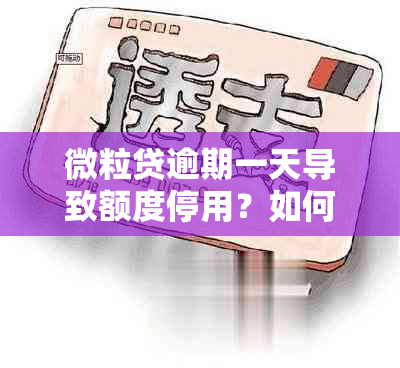 微粒贷逾期一天导致额度停用？如何解决这一问题并恢复正常使用？