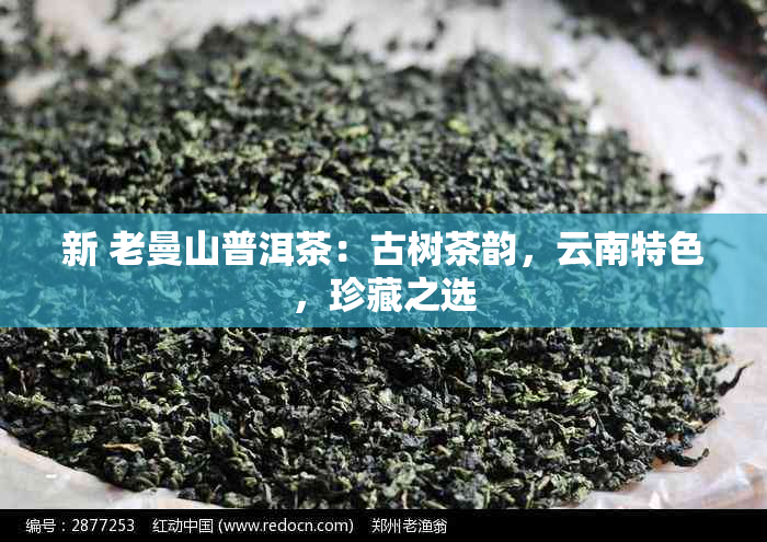 新 老曼山普洱茶：古树茶韵，云南特色，珍藏之选