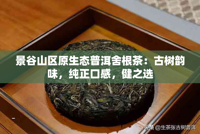 景谷山区原生态普洱舍根茶：古树韵味，纯正口感，健之选