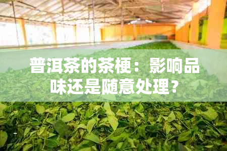 普洱茶的茶梗：影响品味还是随意处理？